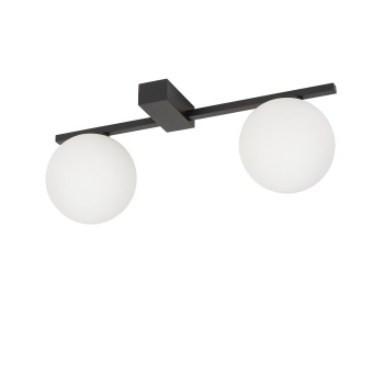 T10300  PIK II