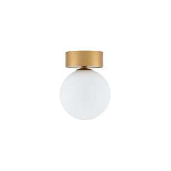 T10623 KIER S GOLD