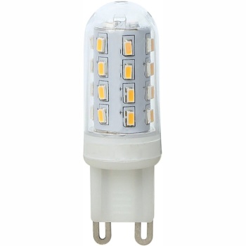 10676  LED BULB