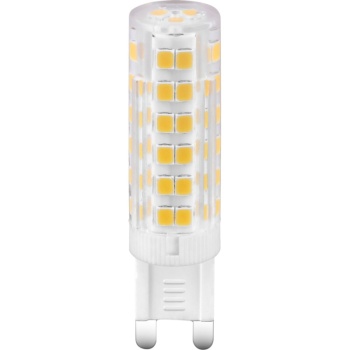 10701  LED BULB