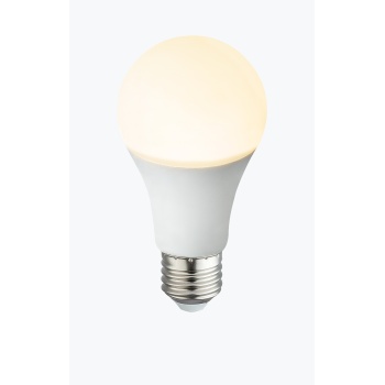 LED BULB