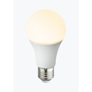 LED BULB