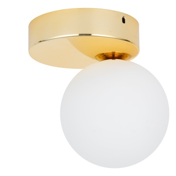 TK4695 BIANCA GOLD