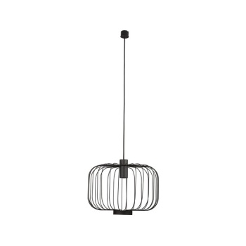 T6941  ALLAN BLACK I zwis
