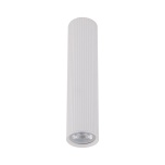 TK10027  TUNE WHITE L