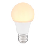 LED BULB  G106000K