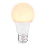 LED BULB  G106000K