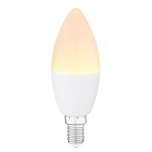 LED BULB  G106040K