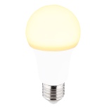 LED BULB