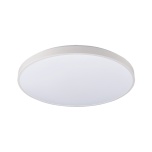 AGNES ROUND LED PRO WHITE 32W 3000K IP44