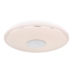 CONNOR  G41386-24L