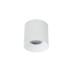 T8731  CL IOS LED WHITE 30W, 3000K, ANGLE 36