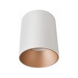 EYE TONE WHITE/GOLD