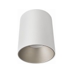 EYE TONE WHITE/SILVER
