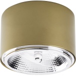 TK3349 MORIS GOLD