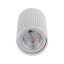 TK10023  TUNE WHITE S