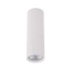TK10025  TUNE WHITE M
