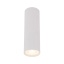 TK10025  TUNE WHITE M