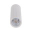 TK10025  TUNE WHITE M