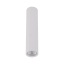 TK10027  TUNE WHITE L