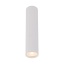 TK10027  TUNE WHITE L