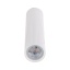 TK10027  TUNE WHITE L