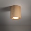 TK10121  EVE WOOD BUK