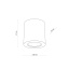 TK10121  EVE WOOD BUK