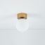 T10623 KIER S GOLD