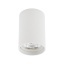 T10802  MONO
