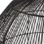 T11168  HAITI BLACK L