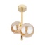 TK4547 ESTERA GOLD
