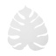 TK4667 MONSTERA WHITE