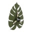 TK4668  MONSTERA GREEN KINKIET 3 G_9
