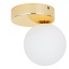 TK4695 BIANCA GOLD