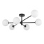 TK4734 SARIUS BLACK