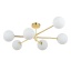 TK4739 SARIUS GOLD