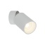 TK5373  TOP DOWNLIGHT WHITE GU 10