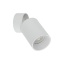 TK5373  TOP DOWNLIGHT WHITE GU 10