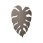 TK5719  MONSTERA BROWN KINKIET 3  G_9