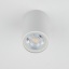 TK5766  TOP WHITE 1 PUNKTOWA