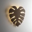 TK5822  MONSTERA XL BROWN KINKIET 4  G_9
