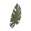 TK6435  MONSTERA XL GREEN KINKIET 4  G_9
