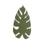 TK6435  MONSTERA XL GREEN KINKIET 4  G_9