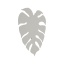 TK6436  MONSTERA XL BEIGE KINKIET 4  G_9