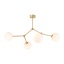 TK6470 FAIRY GOLD