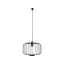 T6941  ALLAN BLACK I zwis