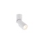 T7660 MIKE WH CG