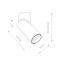 T7858  INDIA WH CG