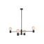 T7931  RADIUS